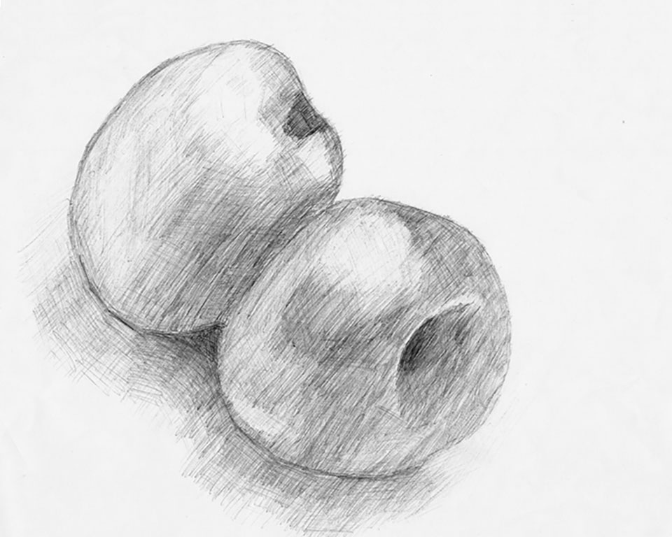 A sketch of an apple